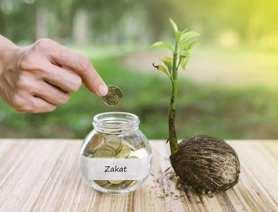 Ini Dia Nisab Zakat Pertanian Yang Benar, Jangan Sampai Keliru!
