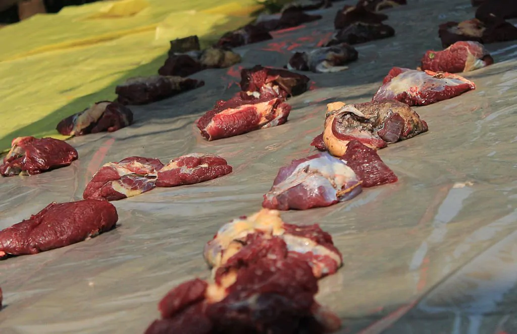 Apa Hukum Qurban Sebelum Aqiqah? Berikut Penjelasannya!