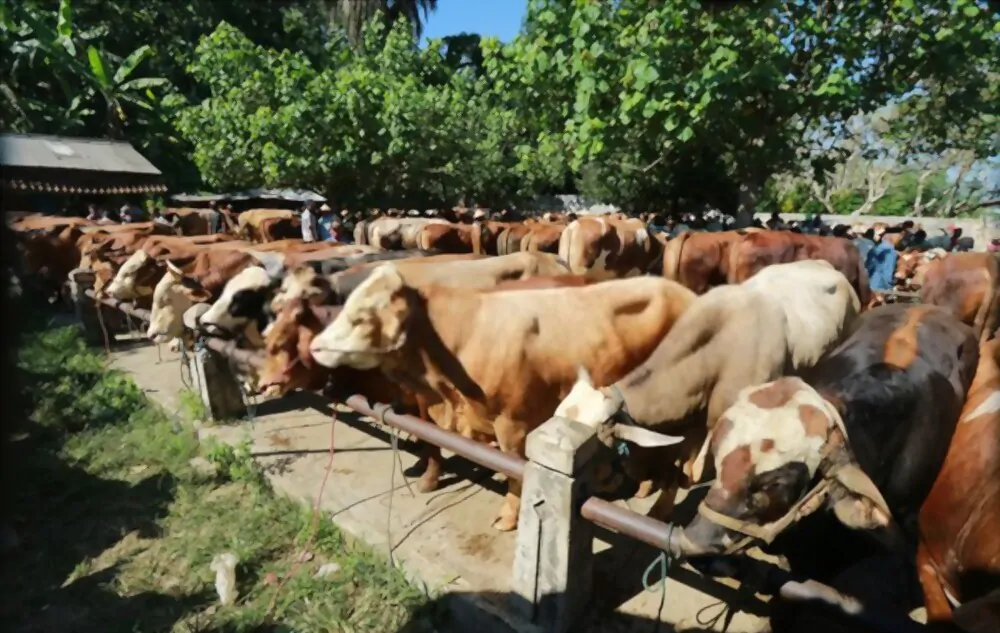 Nisab Zakat Harta dan Tata Cara Penyalurannya