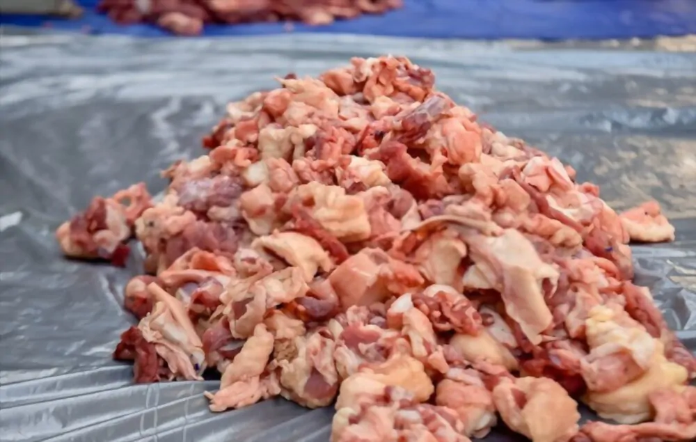 Tata Cara Pembagian Daging Qurban Sesuai Syariat Islam