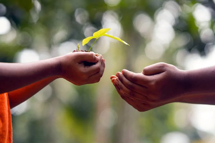 Cara mengindari riba salah satunya dengan kuatkan tolong menolong antar sesama, sumber : pixabay.com
