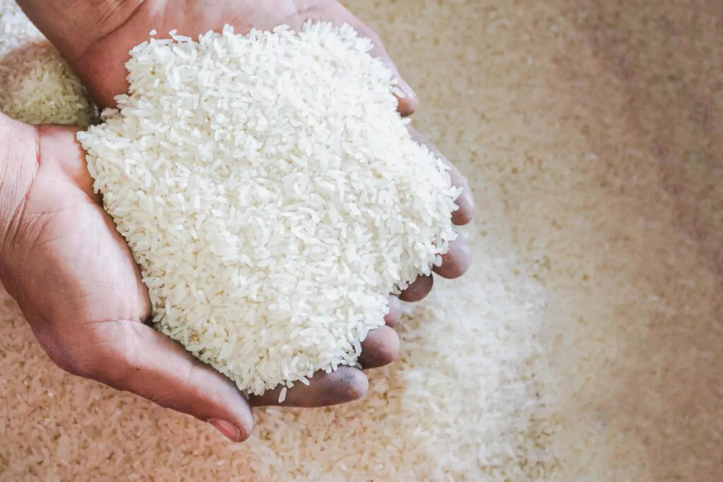 konversi sha ke kilogram, kerap menjadi pertanyaan di masyarakat. sumber: vecteezy.com
