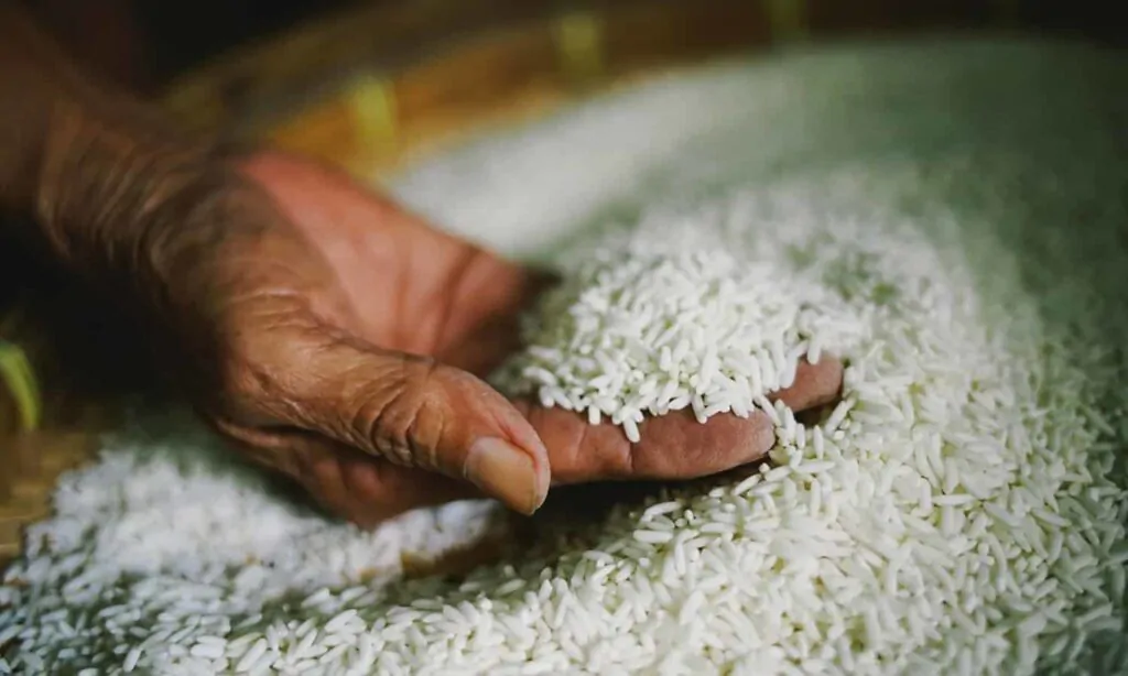 satu sha. sumber: foodtank.com